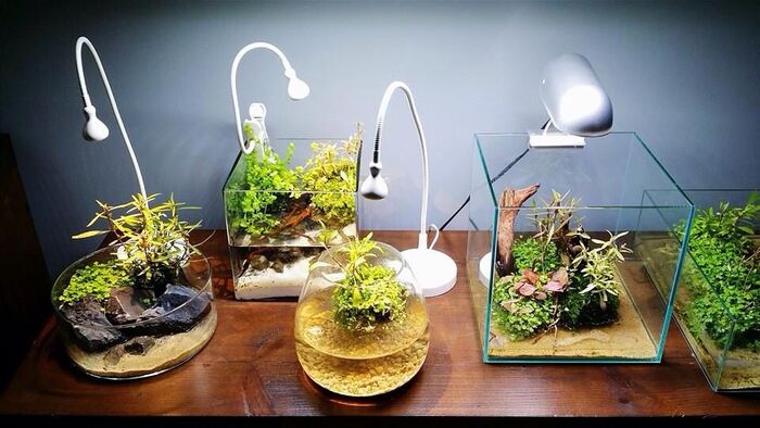 ������ ���� � ���������: ��� ����� ����-���� � ������ ��� ����� �������