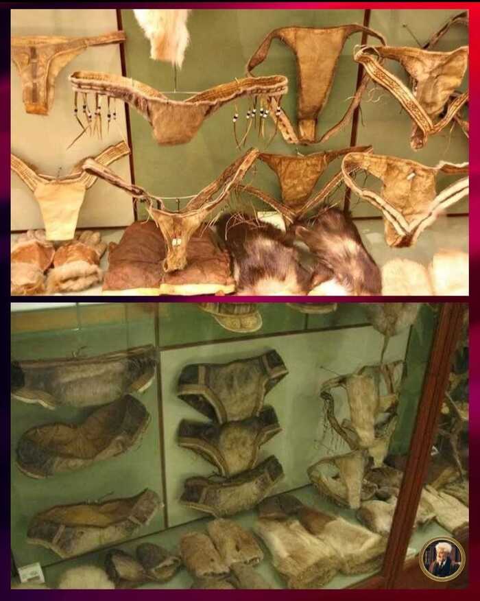 � ���� ����� ���� �� ��������� ��� �������