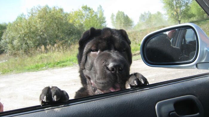 ����� �� ���� ���� ���� ������...�