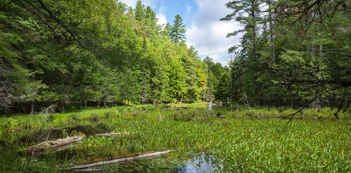 ������ � �����������. ���� �. ����.