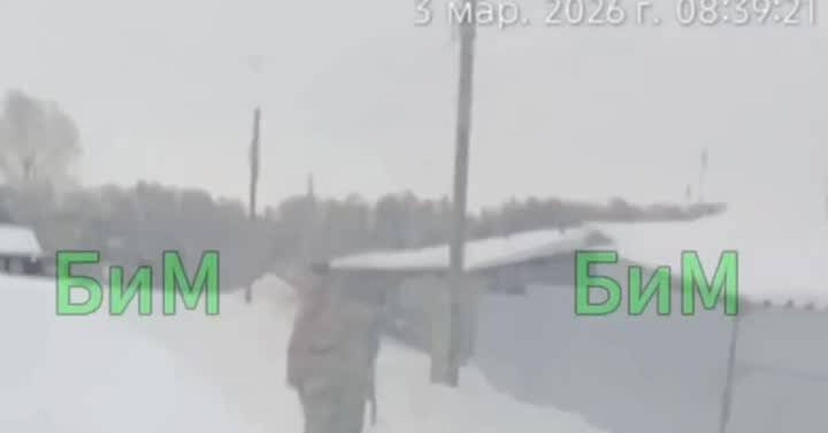 Полиция задержала 59-летнего стрелка, который устроил охоту на собак в поселке под Челябинском - Бродячие собаки, Освв, Видео, Видео вк, Короткие видео, ВКонтакте (ссылка), Длиннопост, Негатив