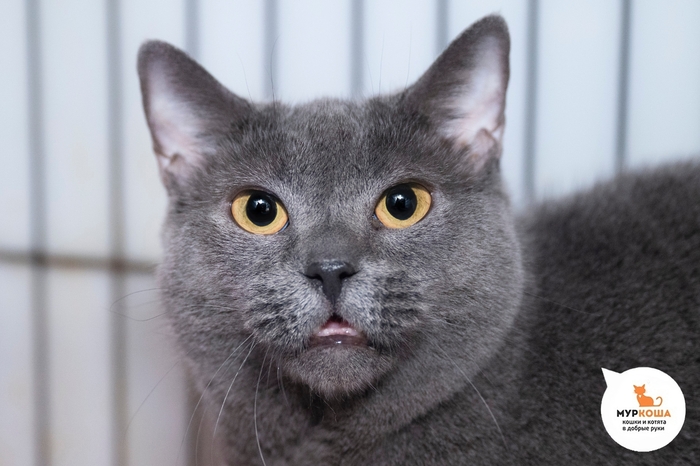 ����� �����, 6 ���, ������� �� �����.