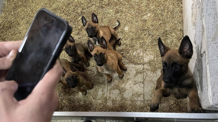 ����� �� ���� ������� �� �� ������ � �������?�