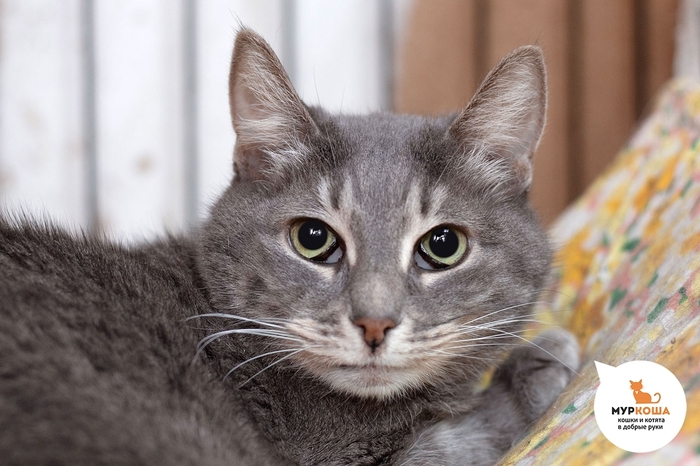 ����� �������, 9 ���, ������� �� ���������� ������.