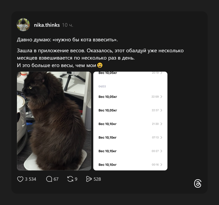 Суточный биоритм кота на весах