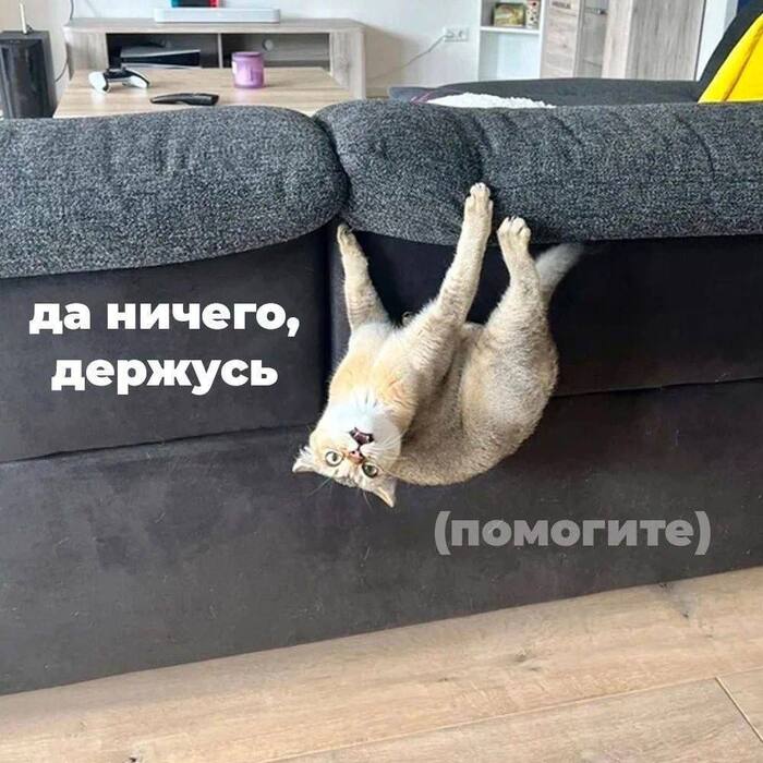 ���-�� ���-�� ���� ������� � ������