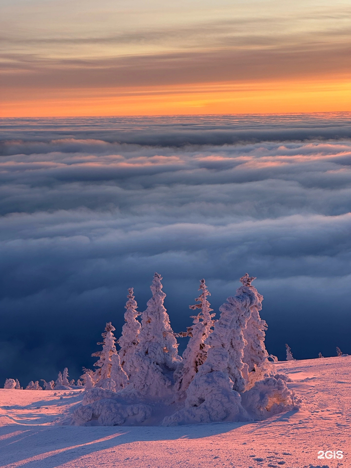 ����: ���������� �������� / 2���