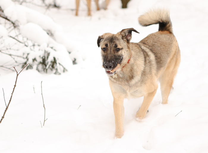 � � �� �����, ���� ���� �� �������� �������...