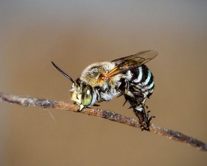 ������ ������������ ����� � ������� ���� � �����.