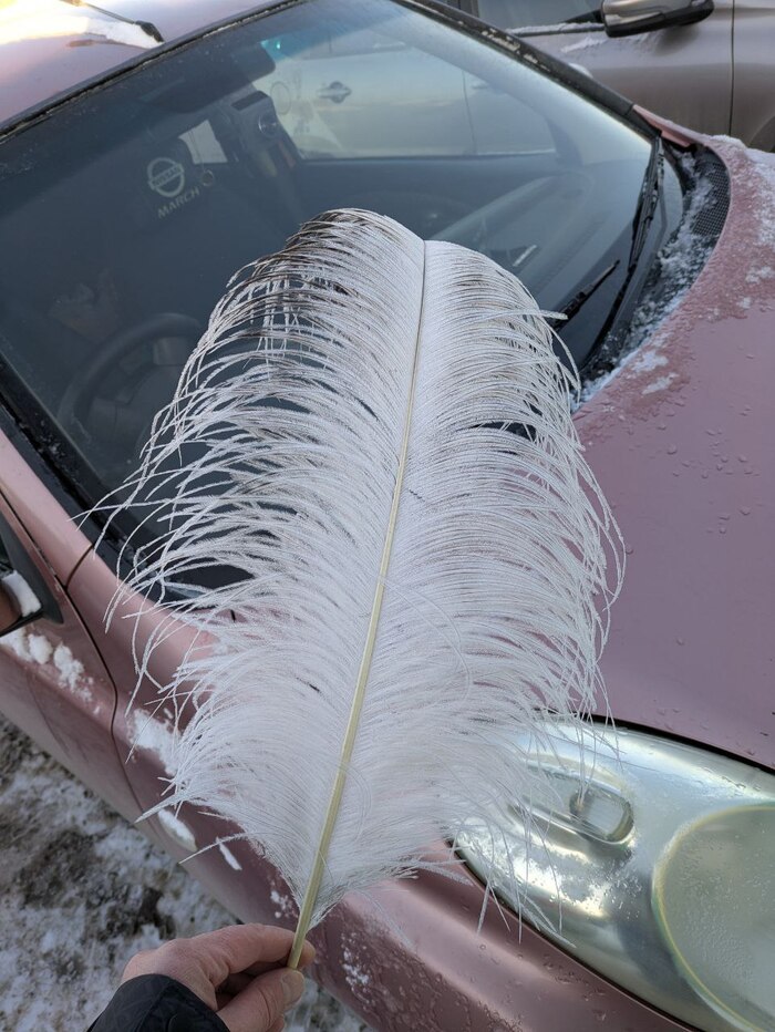 ������ ����������� � ������� 