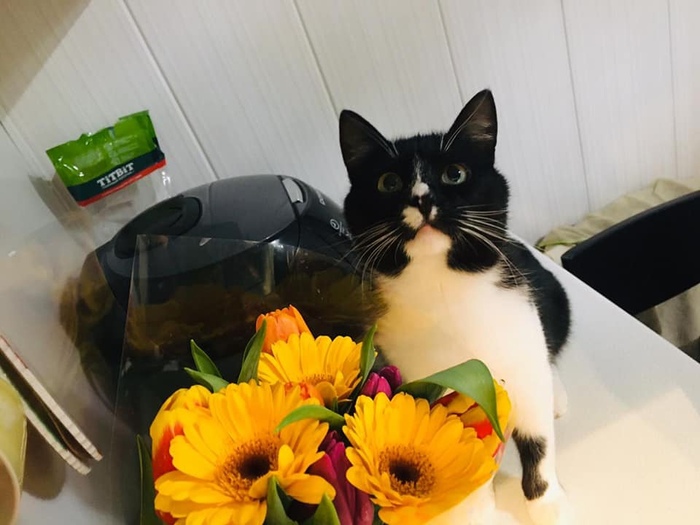 ��� ������ ����������� ���� ��� � ����������!