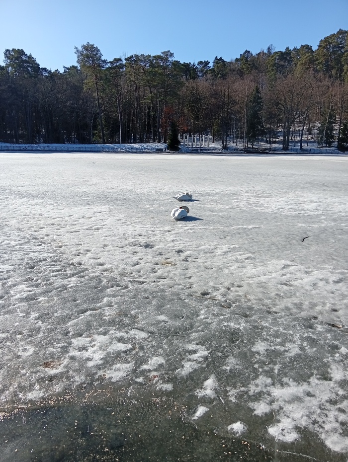 � ��� �� ����� ����� ������ ����� �� ���� �� 5 �������. �������.