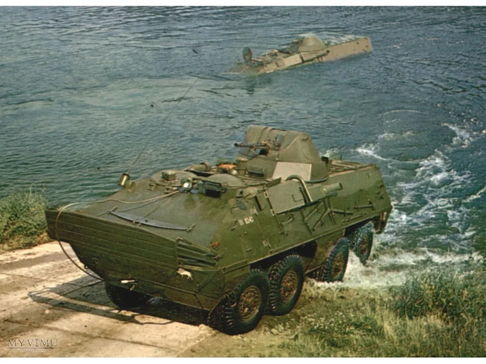 ������ ���������