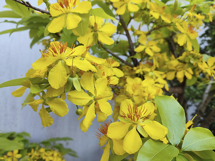 �������� ���� �������������, �������. ���� �. ����������.