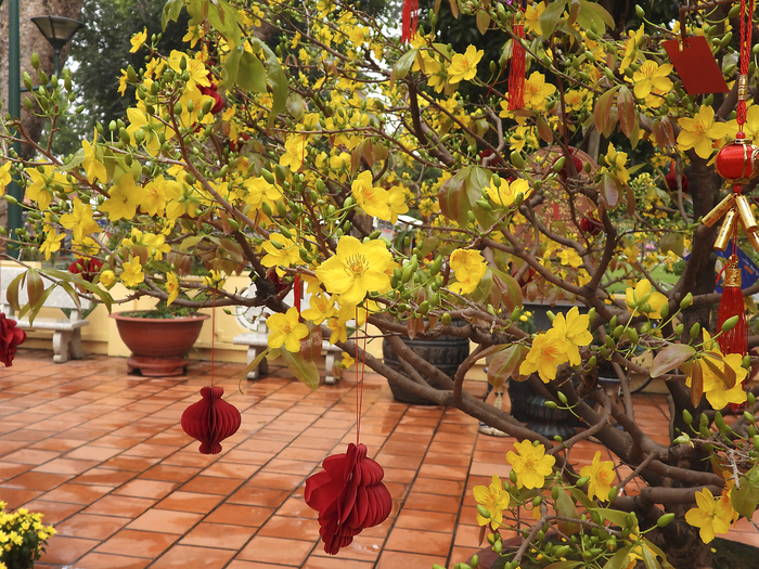 ������ �� ����, �������. ���� �. ����������.