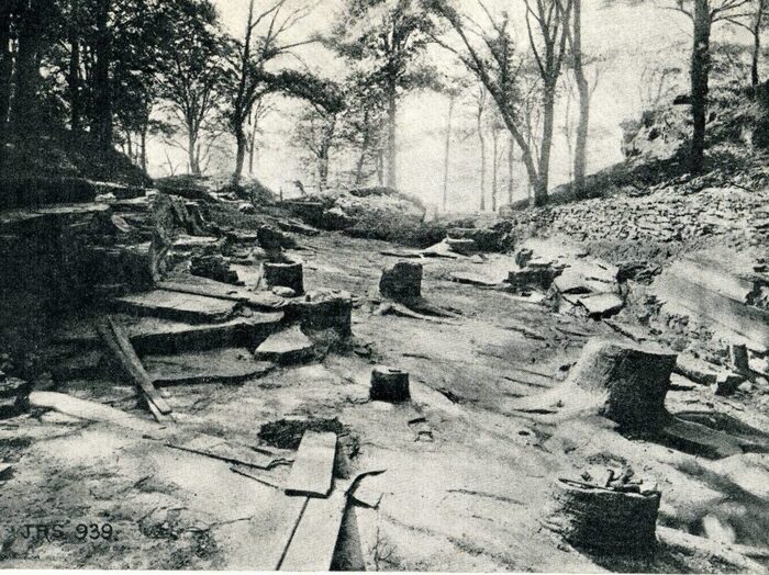 ������ �� �������� ������� ����. 1887 ���. ���� � ����� <!--noindex--><a href="https://pikabu.ru/story/muzey_pney_lepidodendronov_13758746?u=http%3A%2F%2Ffossilgroveglasgow.org&t=fossilgroveglasgow.org&h=0ade094033855328246a9cf121e12fce83261417" title="http://fossilgroveglasgow.org" target="_blank" rel="nofollow noopener">fossilgroveglasgow.org</a><!--/noindex-->.