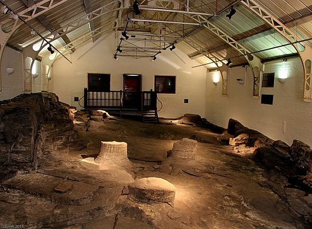 ����� �Fossil Grove� � ���� ���. ���� � ����� <!--noindex--><a href="https://pikabu.ru/story/muzey_pney_lepidodendronov_13758746?u=http%3A%2F%2Fvipauk.org&t=vipauk.org&h=8cc7d9301d3d993cd37133e715e866e0fc9f8588" title="http://vipauk.org" target="_blank" rel="nofollow noopener">vipauk.org</a><!--/noindex-->.