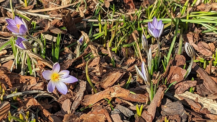 �������� �������� �������� �������! ���� �. ���������.