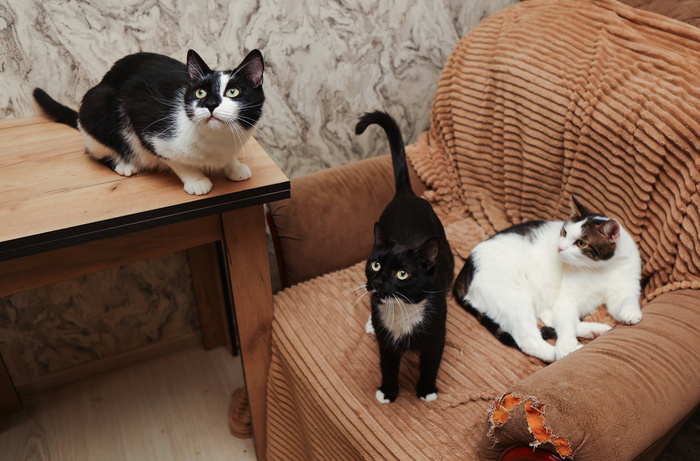 �� ��� ��������! ����������� - ���� - ��������, ����� ���� ��������. ������ ����� - ����)))