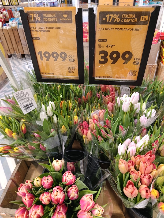 ���� �� ��������...