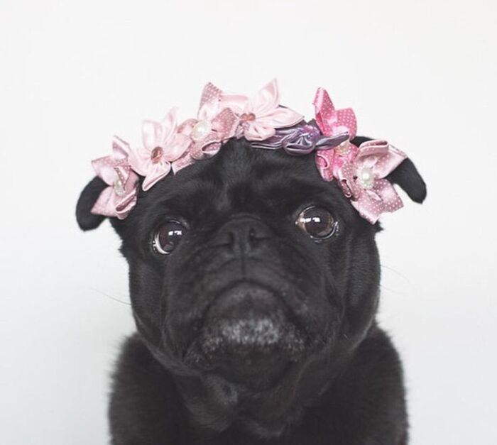 Женская солидарность