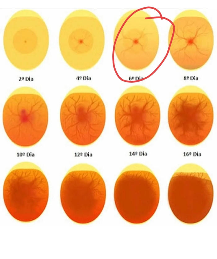 �� ��� ���