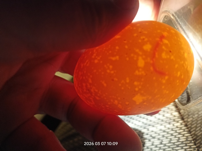 ��� ���������� �������� ������ - ������ ������ ����� � ����? ��� ��� � ����, �� ���� ������� ����� �����������, �� ���-�� ����� �� ���. ��� ������ ������ ���������. �������� �������� �� ����������� ��������. ����� ��� ���� �� ������. 