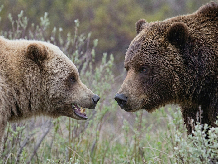 �� ���������� �������-���������� ���� ���������� ������� ������� � ������������ ����� ���������� � �������� �������� � ������� �� �����.