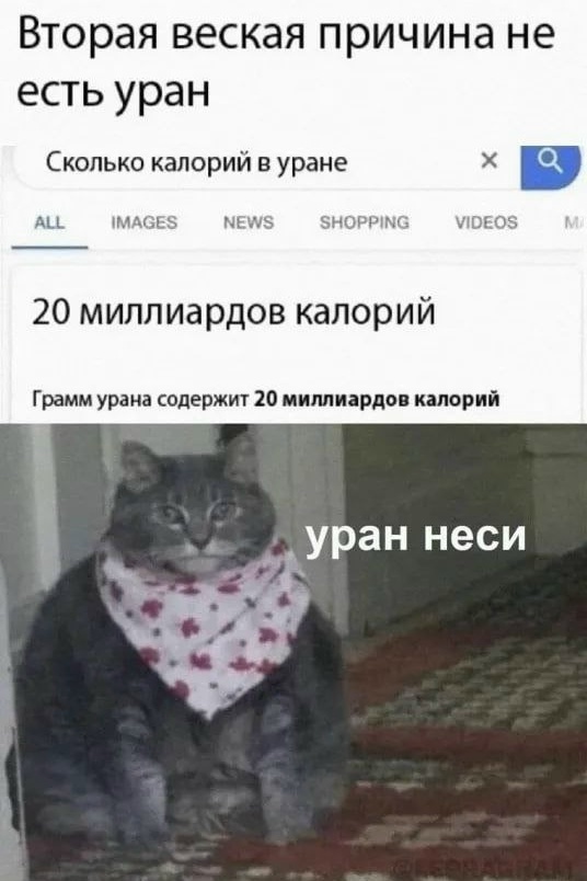 ������� �������