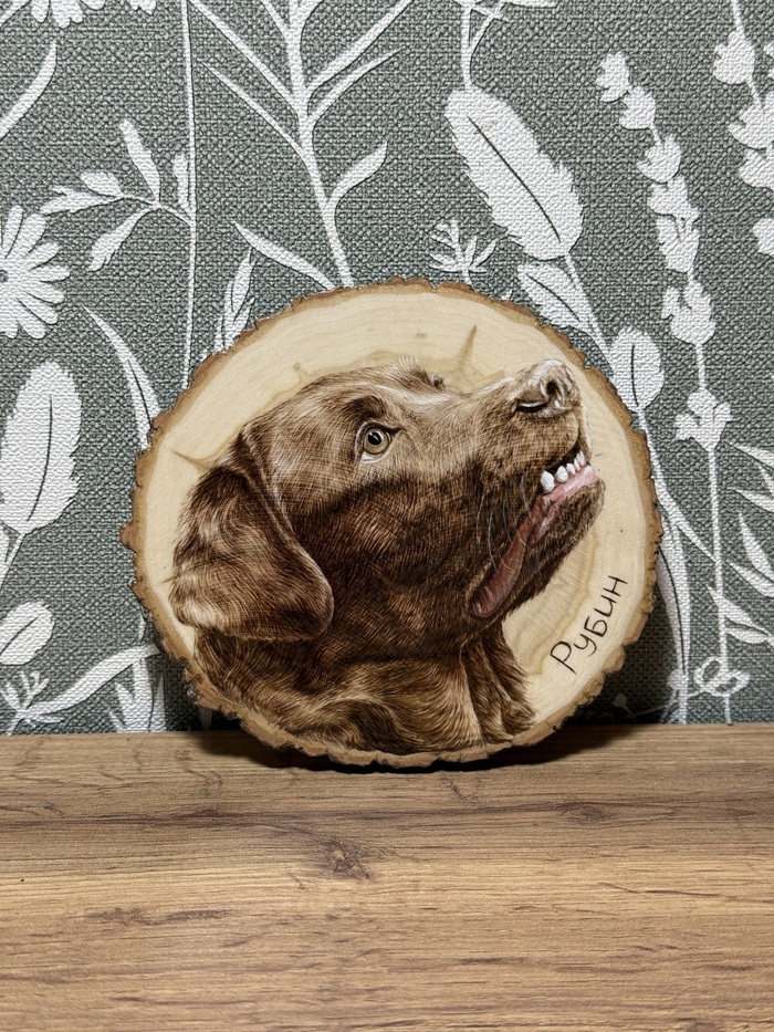 ������� ���������. ��������� �� ������. ����������