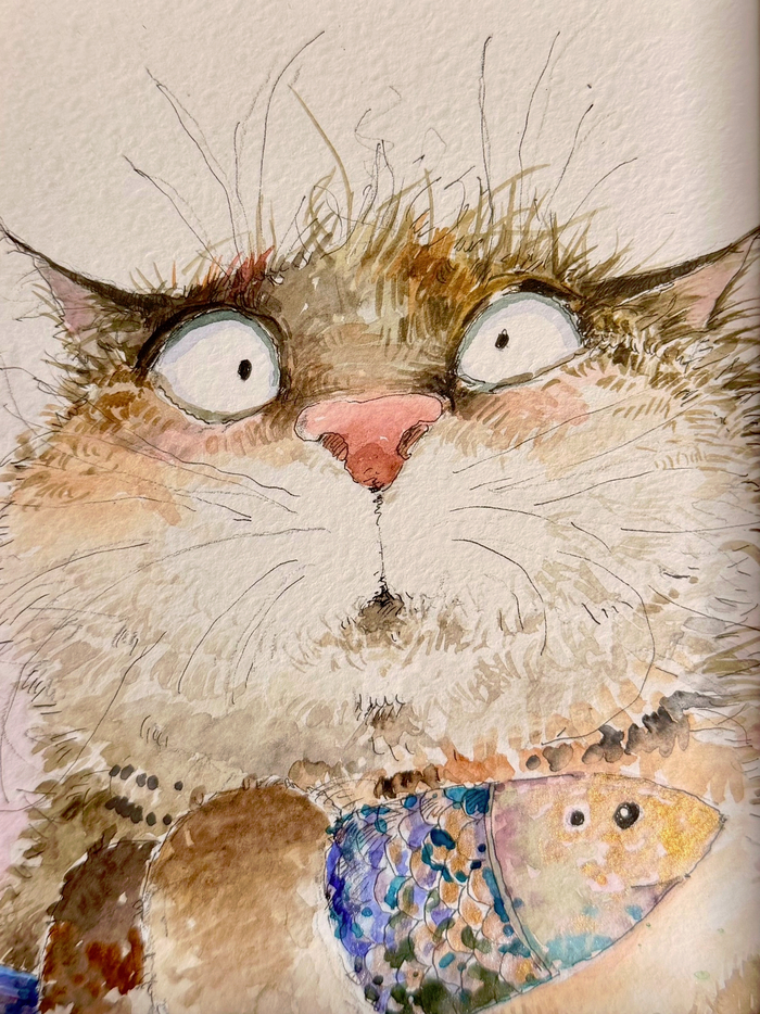 �� ��� �����