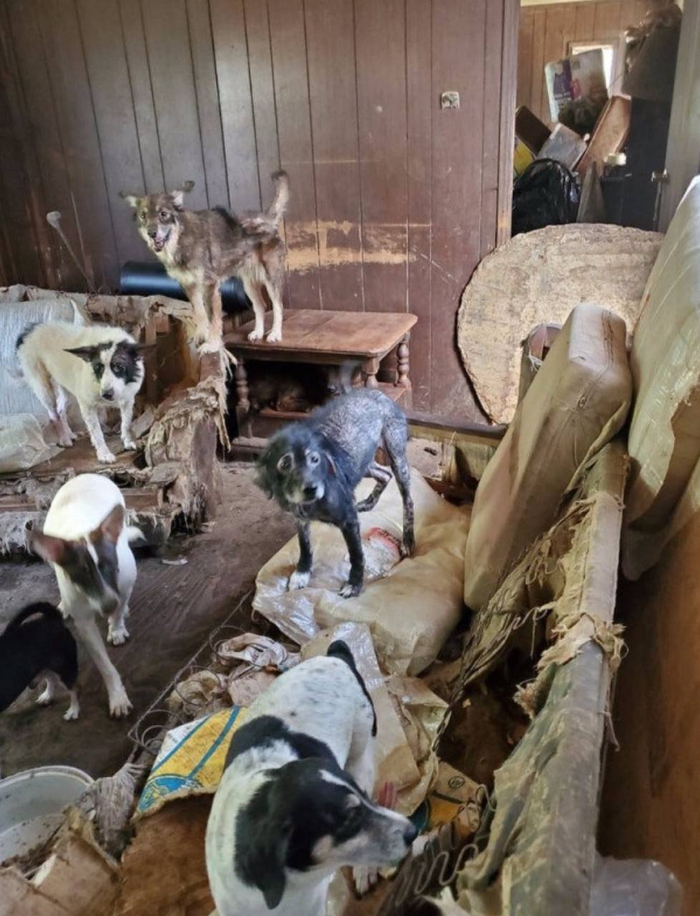 �������