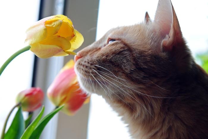 ��������, �������, �����! ������..