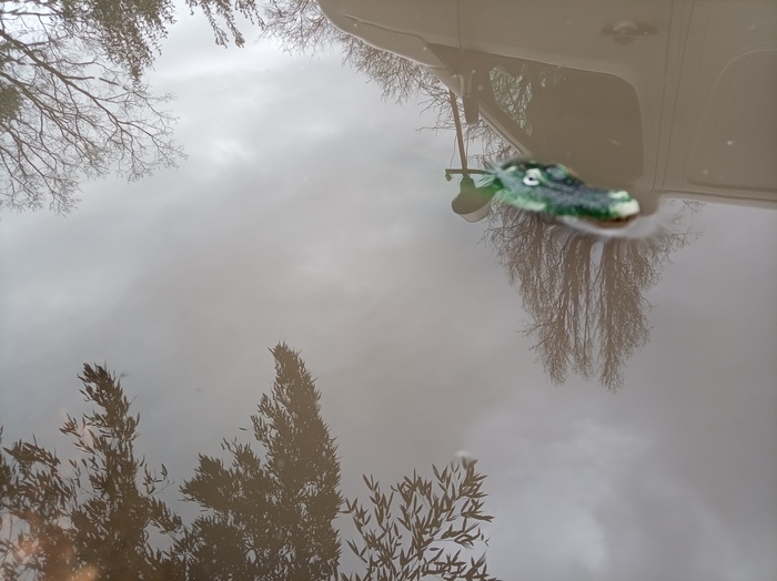 ����� �� ���� ��������� ����������  ��������