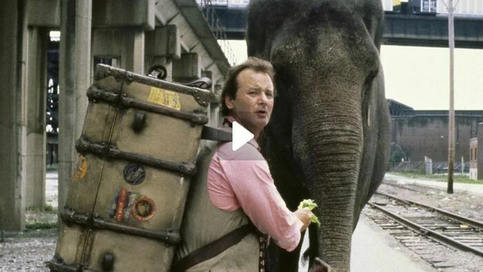 ���� ������ "������ ��� �����"