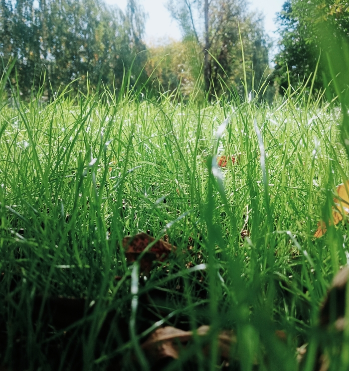 ��� ������� ���������