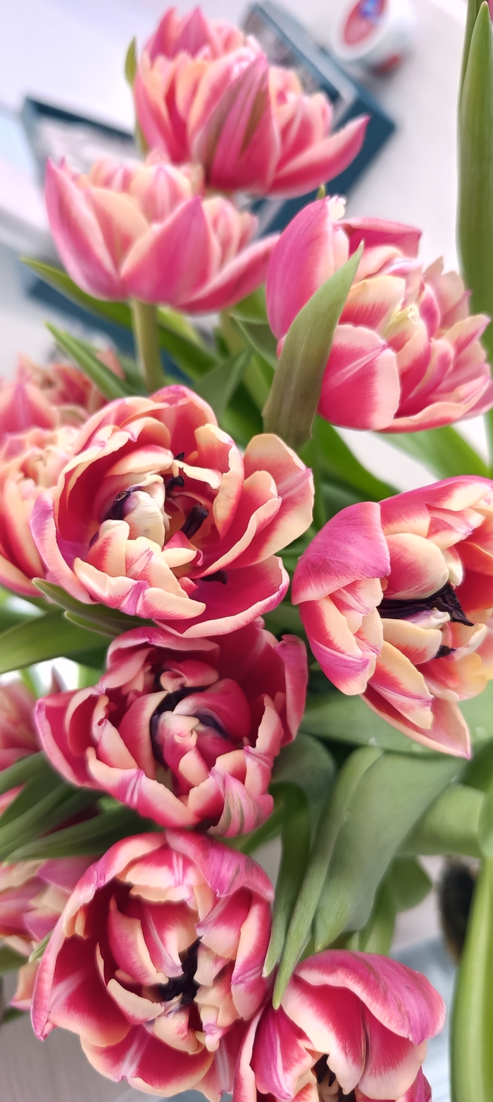 ������ ��ë😆