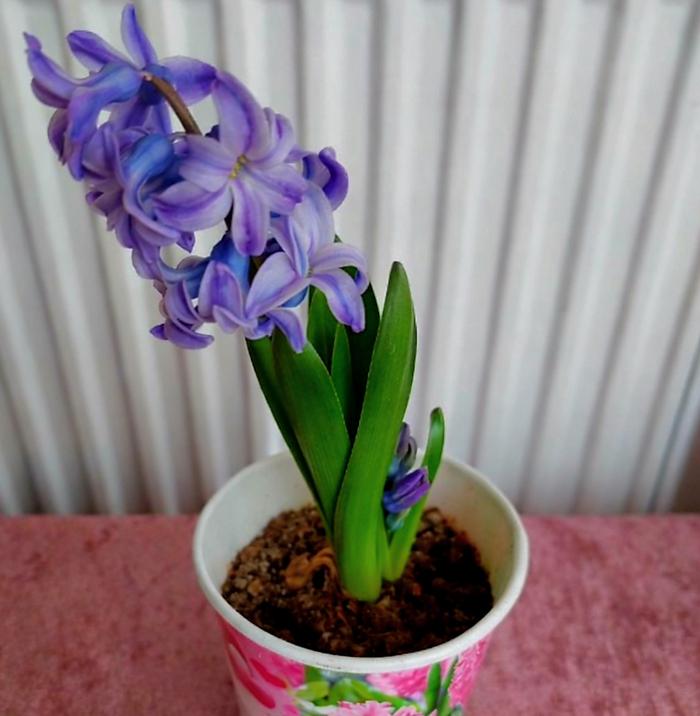 ��� 8 ����� � ������: ��� ������� � ��������