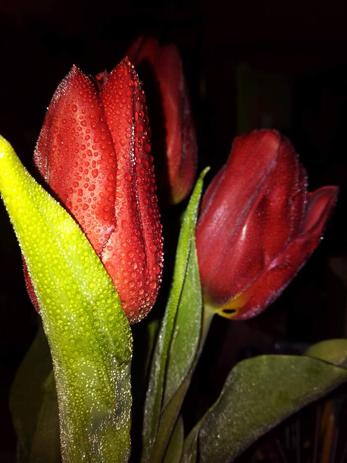 ��������...