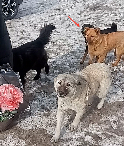 ��� ������ ������ � �������. �� ����� ������ ������� ��� ��� ����� ���� � ����.