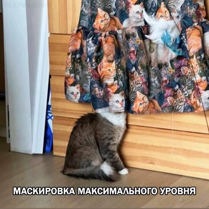 ������ �������� ������