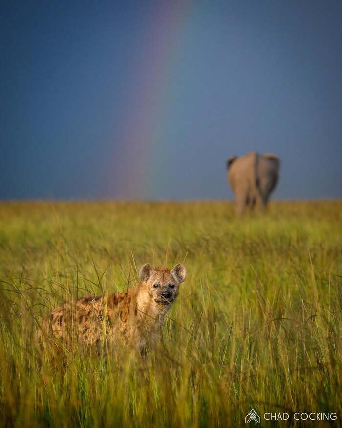 ���-�� �� ���� ������...