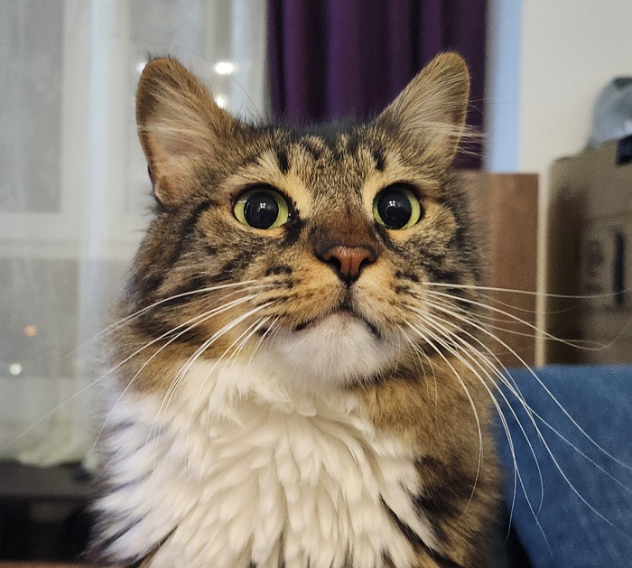 ���������� ������� #224