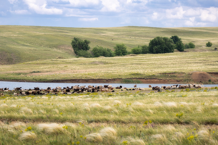 ������ � �����