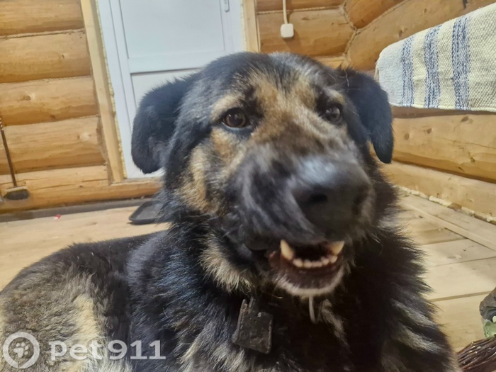 ������� ������!