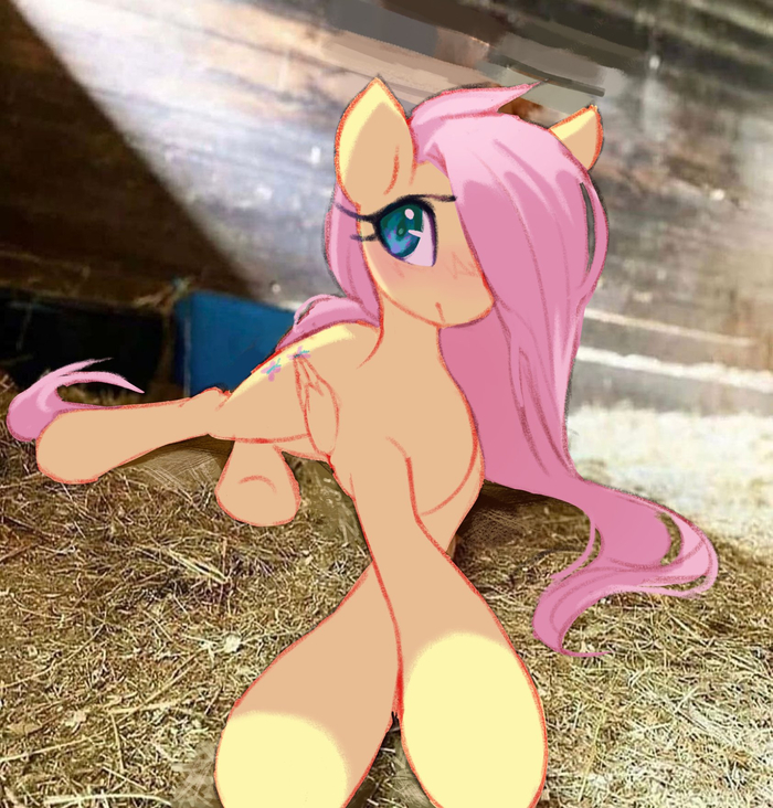 �������