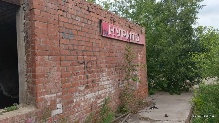 ������, ������������ �������� � �����������.