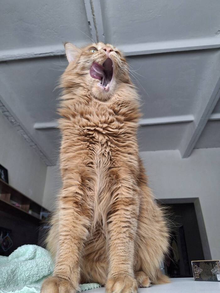 ���� ������ ����, ������ ��� ��������� �����...