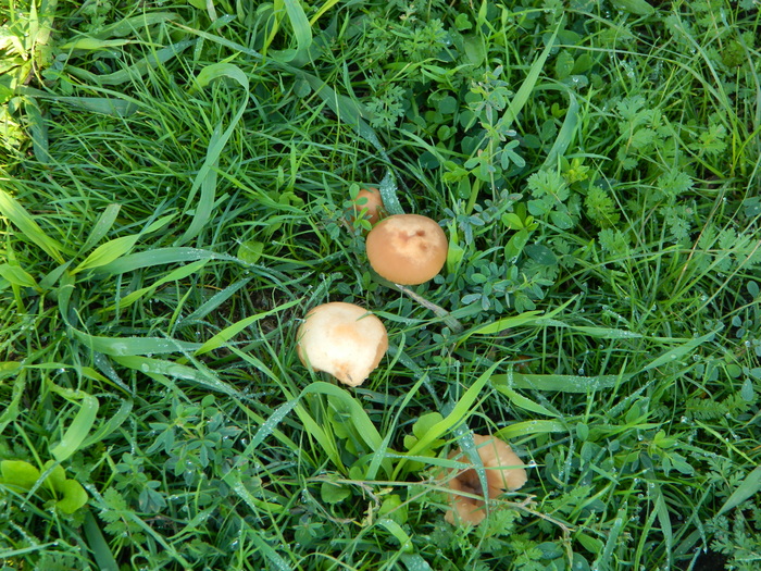 ����� � ����� ����������. ���� ������������ �� ���� ��� ��� �� ����, ������� �� ���� ����� �������