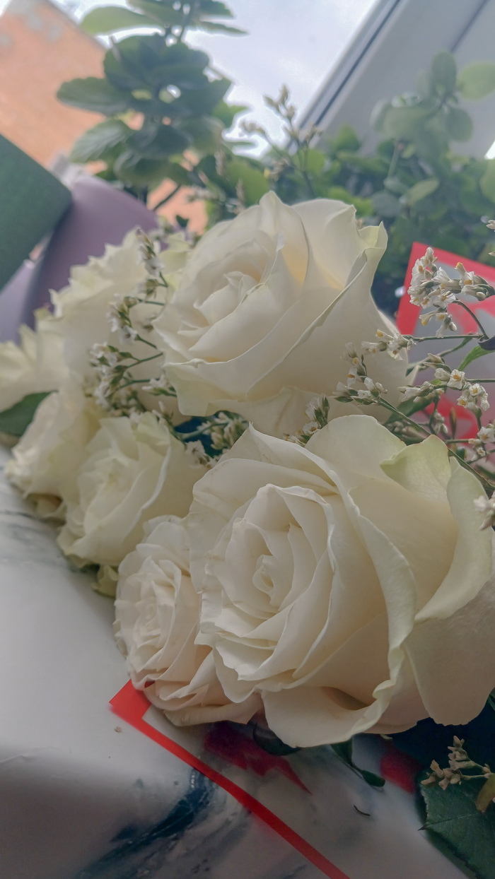 �������...�������...����� � �����...